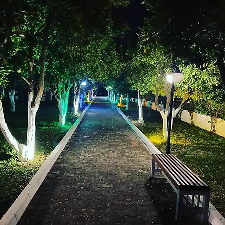 Castle Park بيلديبي