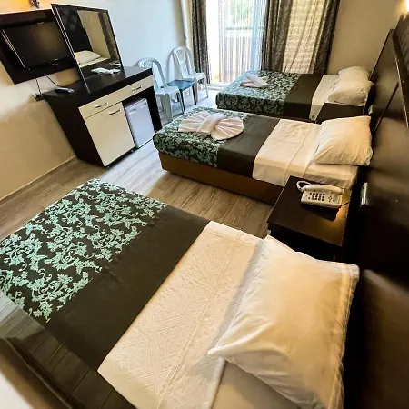 酒店 Castle Park 4*